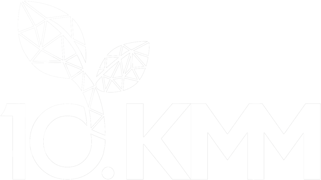 10 Kongres Młodych Matematyków (logo ze skrótowcem 10. KMM)
